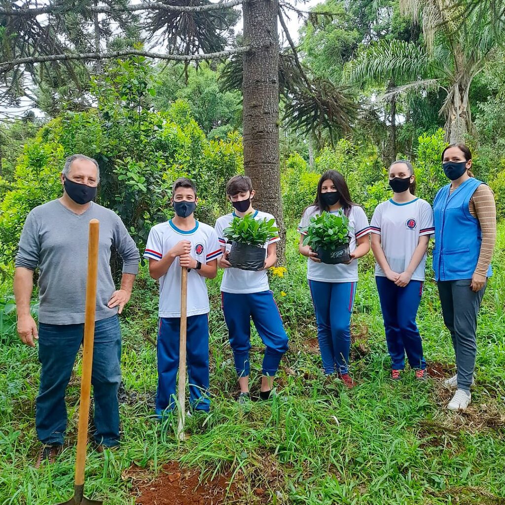 Projeto de plantio de erva-mate tem início em São Mateus do Sul em parceria com escola do Campo