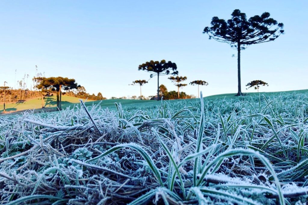 General Carneiro registra menor temperatura do Paraná e pode ter neve nesta terça-feira, 17