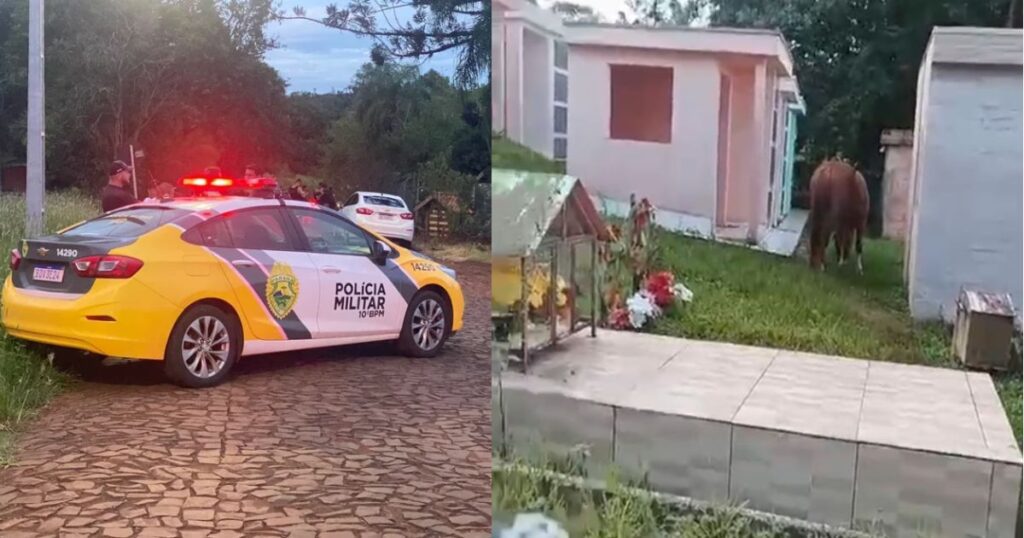 Homem furta égua e é encontrado sem roupas dentro de cemitério do Paraná; veja vídeo