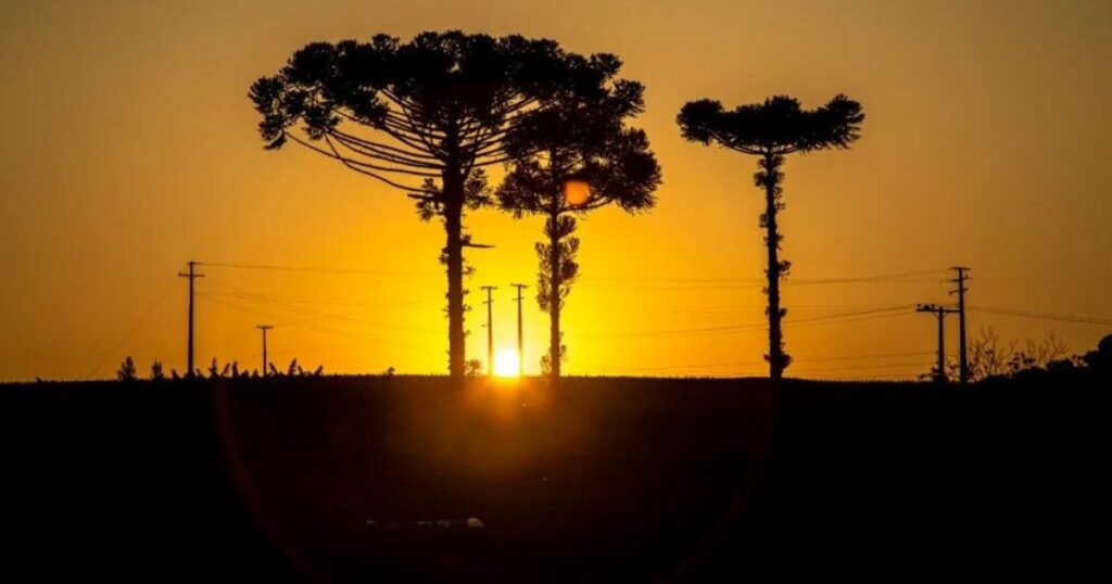 Quando o calorão acaba? Meteorologia já prevê geada para o Paraná