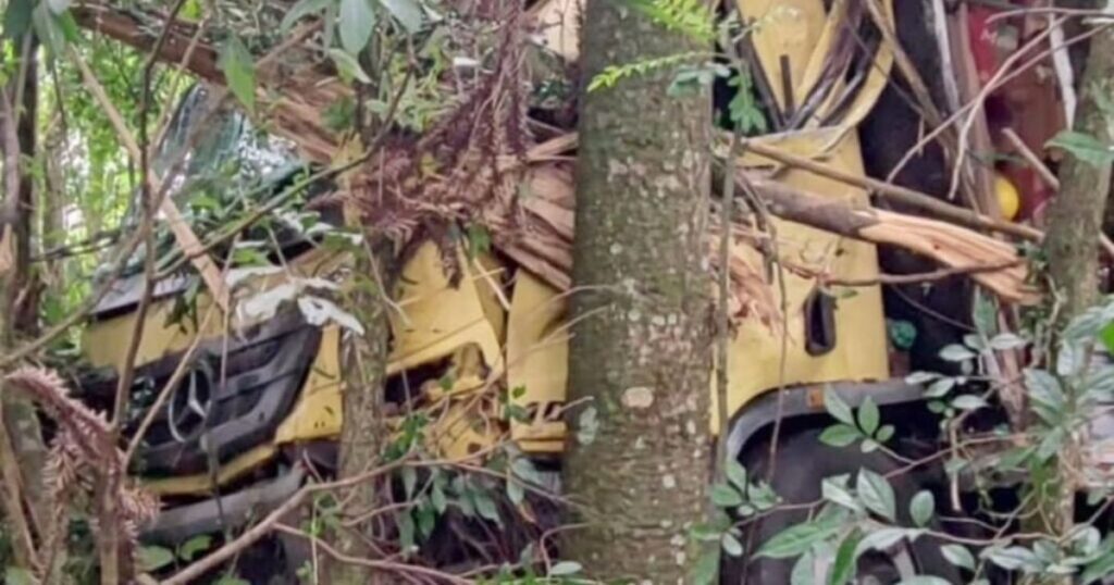 Motorista morre após caminhão atingir árvore na BR-277, em Prudentópolis