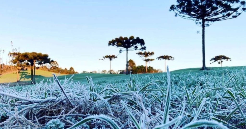 IDR-Paraná e Simepar iniciam serviço Alerta Geada na segunda-feira