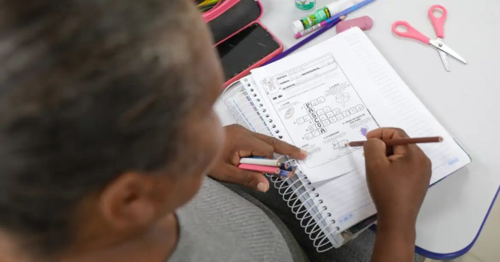 Três em cada 10 brasileiros são analfabetos funcionais, indica estudo