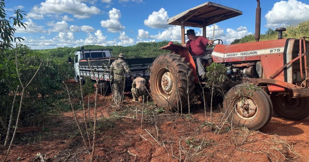 Falso carregamento de tijolos escondia 50 mil maços de cigarros no Paraná