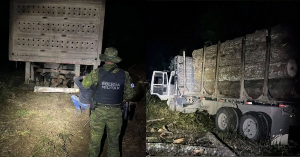 Polícia Ambiental prende grupo por corte ilegal de araucárias em Imbituva e aplica multa de quase R$ 300 mil