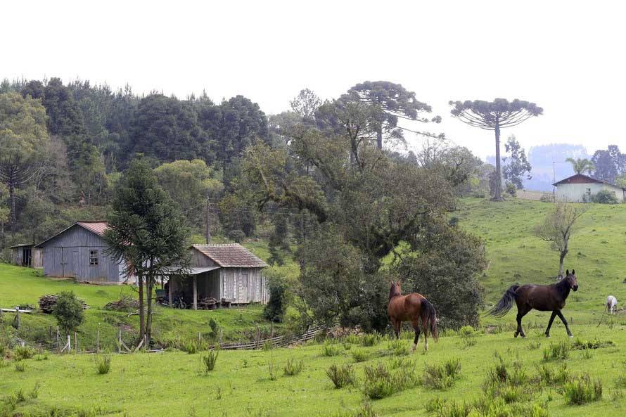 IAP orienta proprietários a acompanharem o Cadastro Ambiental Rural