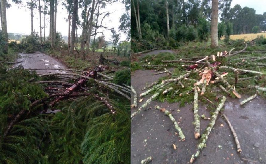 Temporal: chuva e ventos fortes assustam moradores do interior de São Mateus do Sul