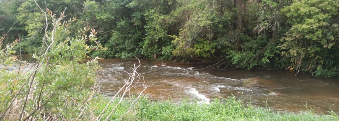 Membros de cadáver são encontrados no Rio Verde, em Ponta Grossa