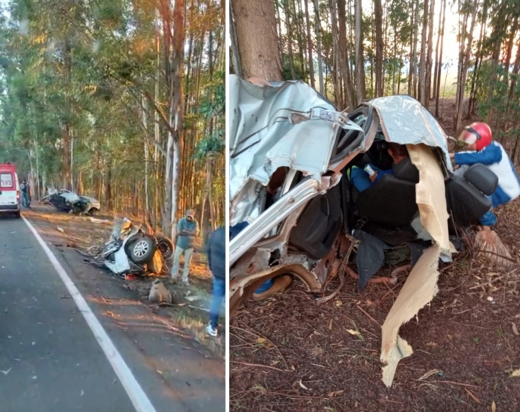 Carro bate contra árvore em rodovia Paranaense e se parte dois; motorista saiu ileso