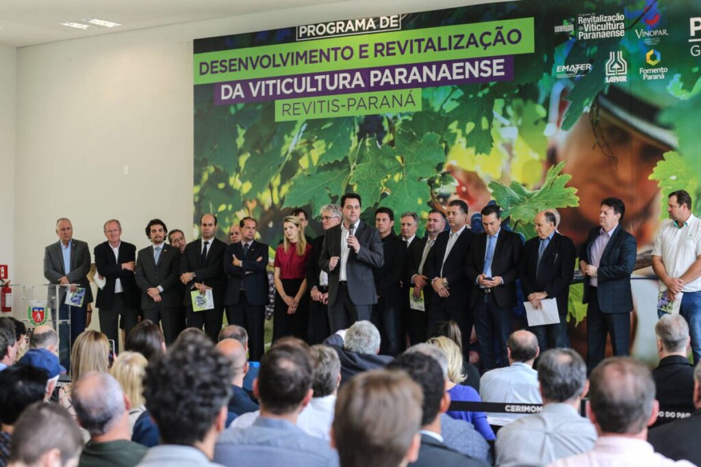 Bacil acompanha lançamento de Programa Estadual de apoio ao setor de produtivo de uvas