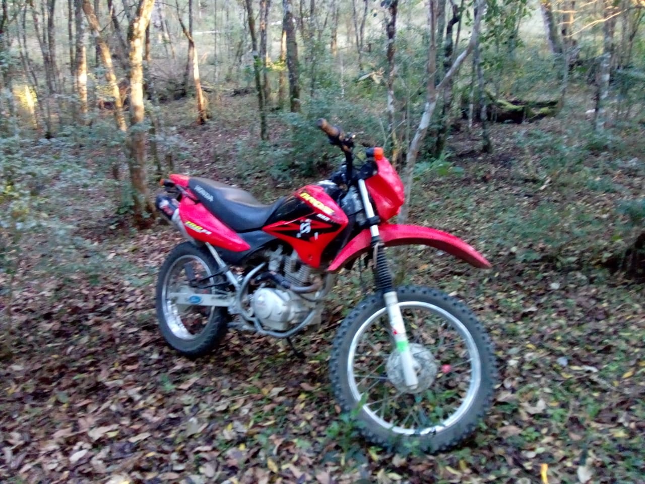 PM de Antônio Olinto recupera moto furtada