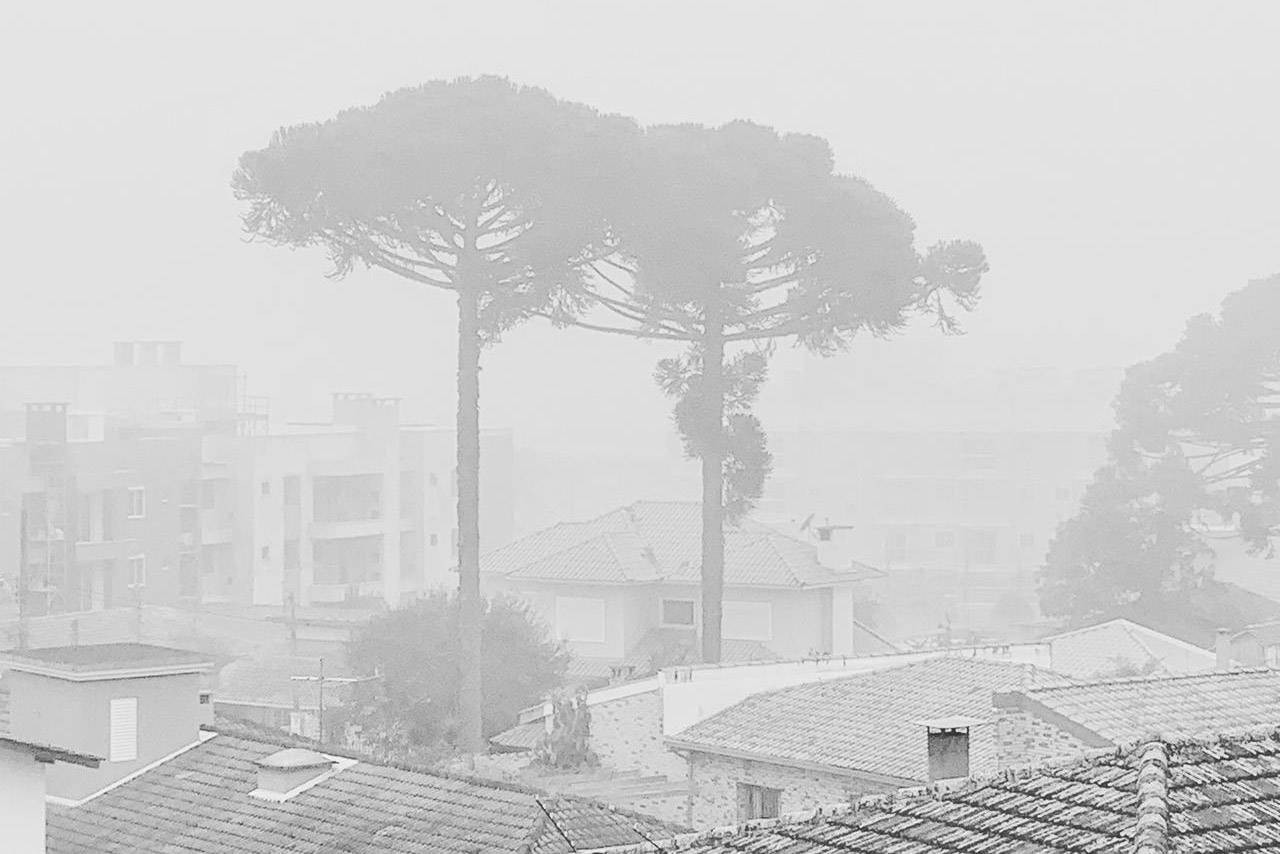 Inverno: estação mais fria do ano começa oficialmente na próxima segunda-feira