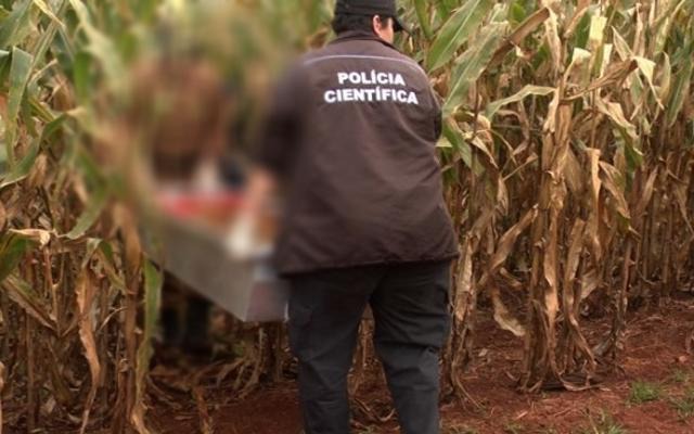 Agricultor encontra corpo de homem perfurado com  chumbo em lavoura de milho