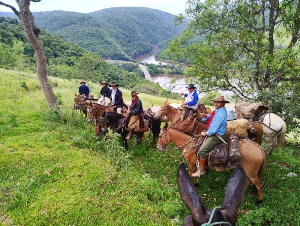 Tradição das cavalgadas tropeiras: Uma jornada de São Mateus do Sul a Vacaria