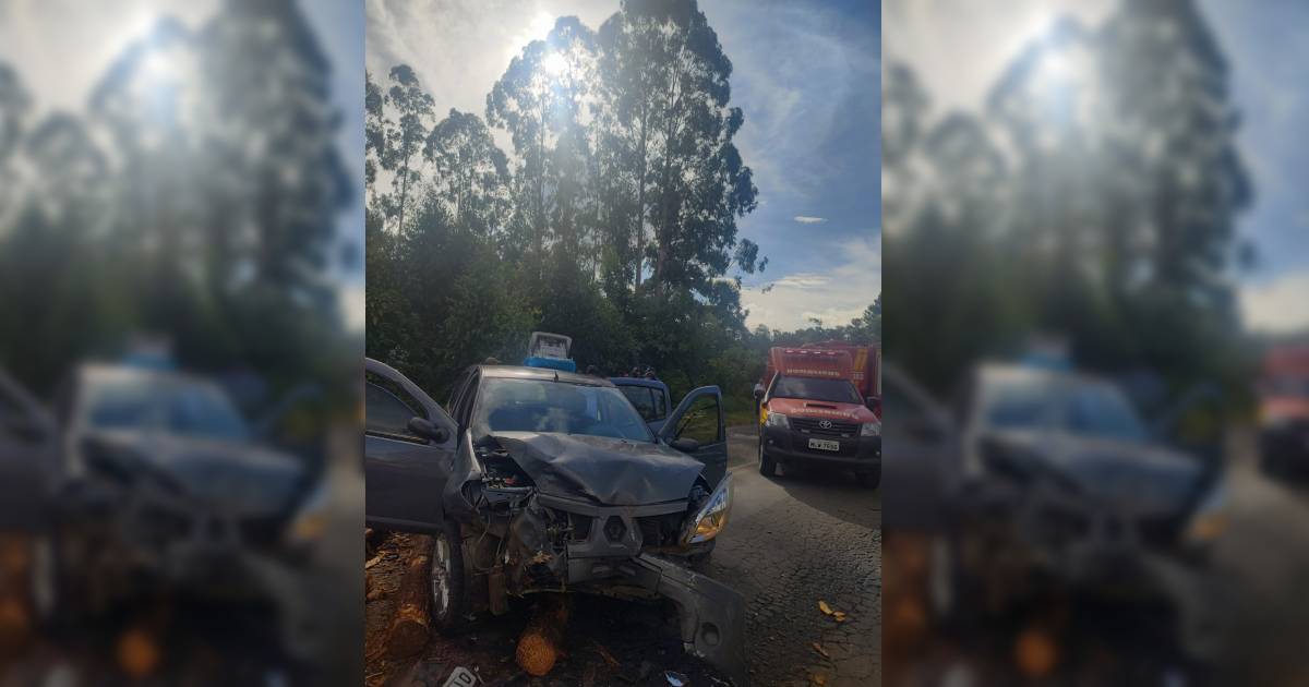 Carro com 5 pessoas é atingido por toras de madeiras caídas de cima de um caminhão