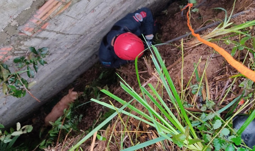 Bombeiros resgatam animal caído em vala de difícil acesso no município de Canoinhas