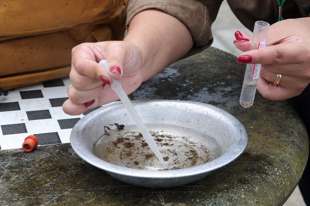 Paraná confirma 15,3 mil novos casos de dengue e mais 14 mortes por conta da doença