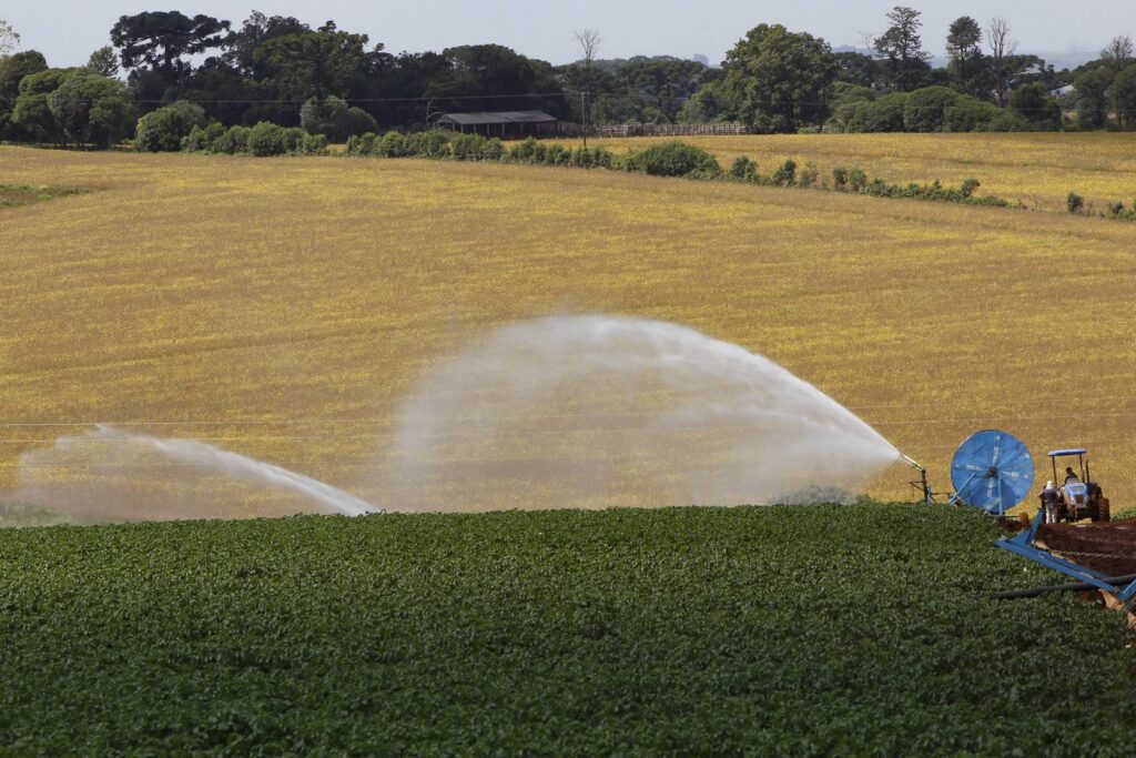 Banco do Agricultor Paranaense ajudou 1.235 projetos do campo em 6 meses