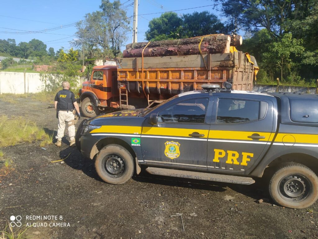 PRF prende homem por desmatamento ilegal em São Mateus do Sul