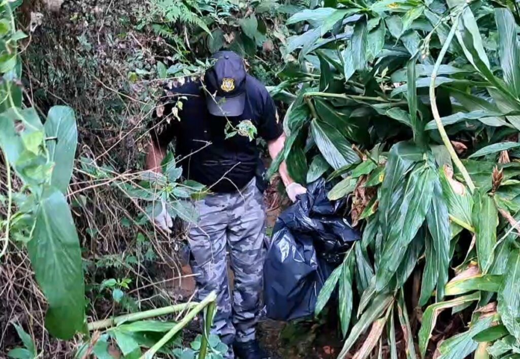 Ossada é encontrada em Ponta Grossa e pode ser de mulher desaparecida