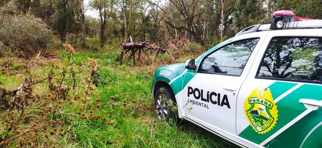 Homem é multado em R$ 65.300,00 em São Mateus do Sul