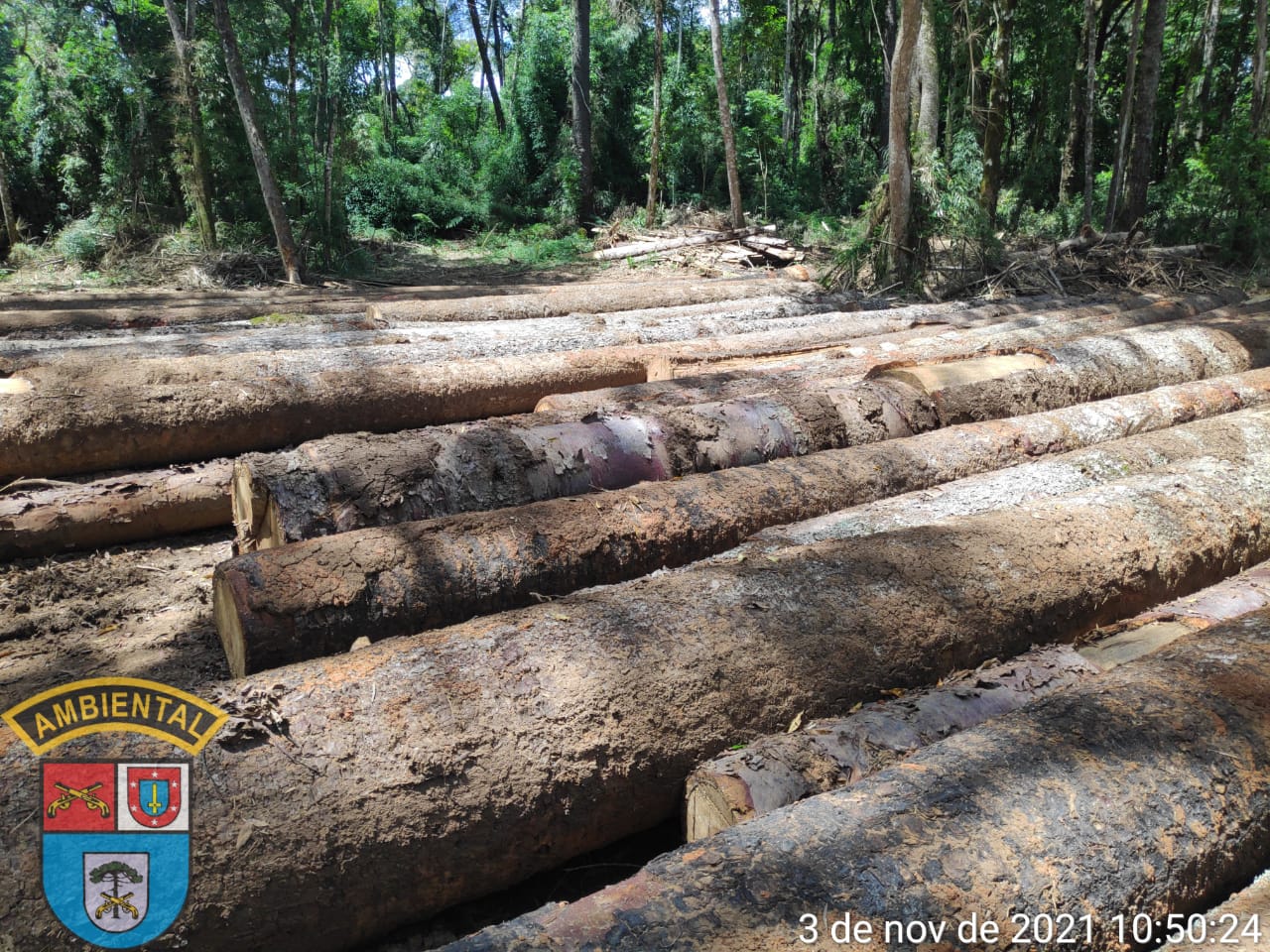 Polícia Ambiental aplica multa de R$ 112 mil no interior de Palmeira