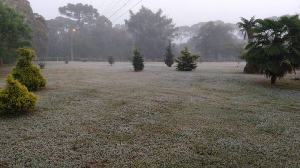 Dia amanhece gelado em São Mateus do Sul e região