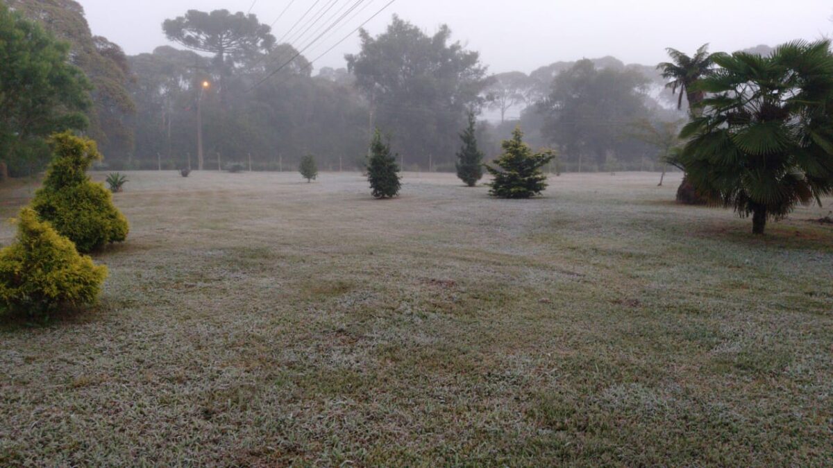 Dia amanhece gelado em São Mateus do Sul e região