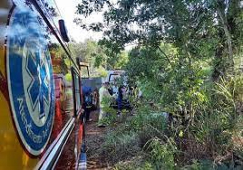 Homem morre ao ser atingido por galho em Antonio Olinto