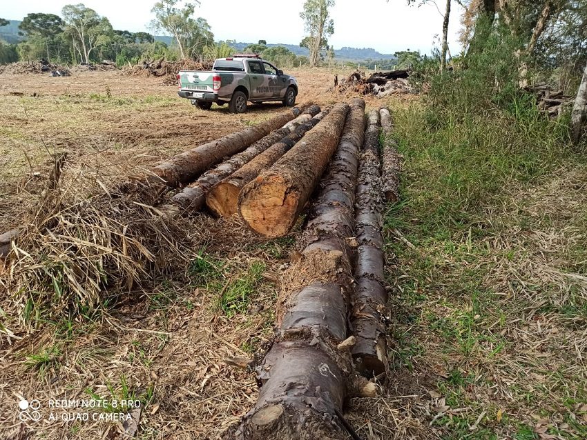 Polícia Ambiental aplica multa de R$ 90 mil em Bela Vista do Toldo