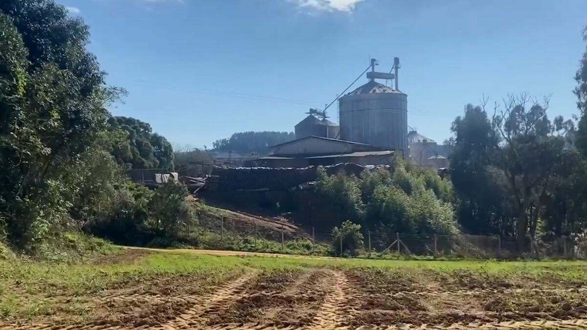 Trabalhador morre soterrado após cair em silo no Paraná