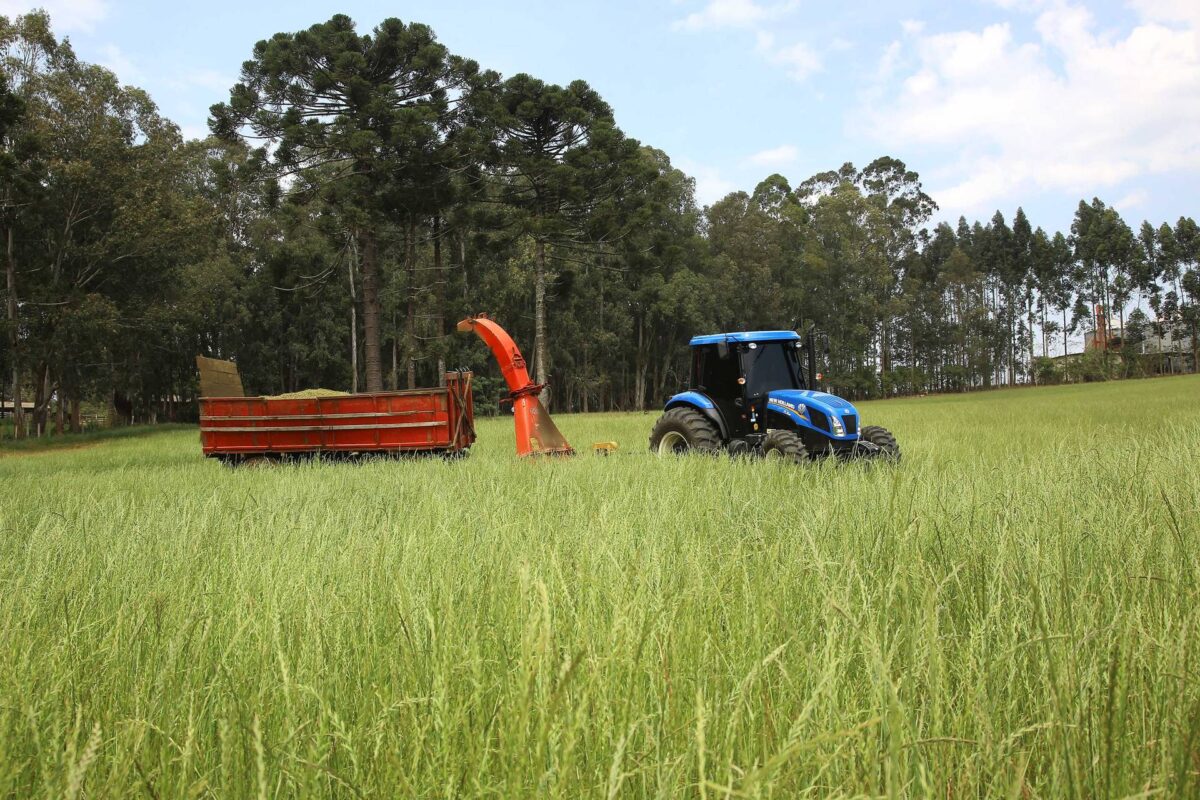 Fundo Garantidor Solidário deve agilizar financiamento rural