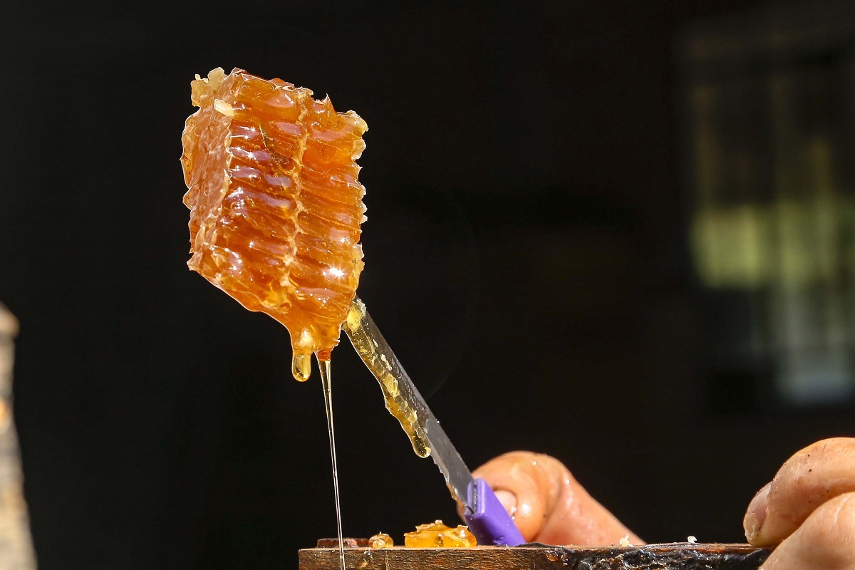 Paraná se mantém na liderança nacional da produção de mel, aponta boletim