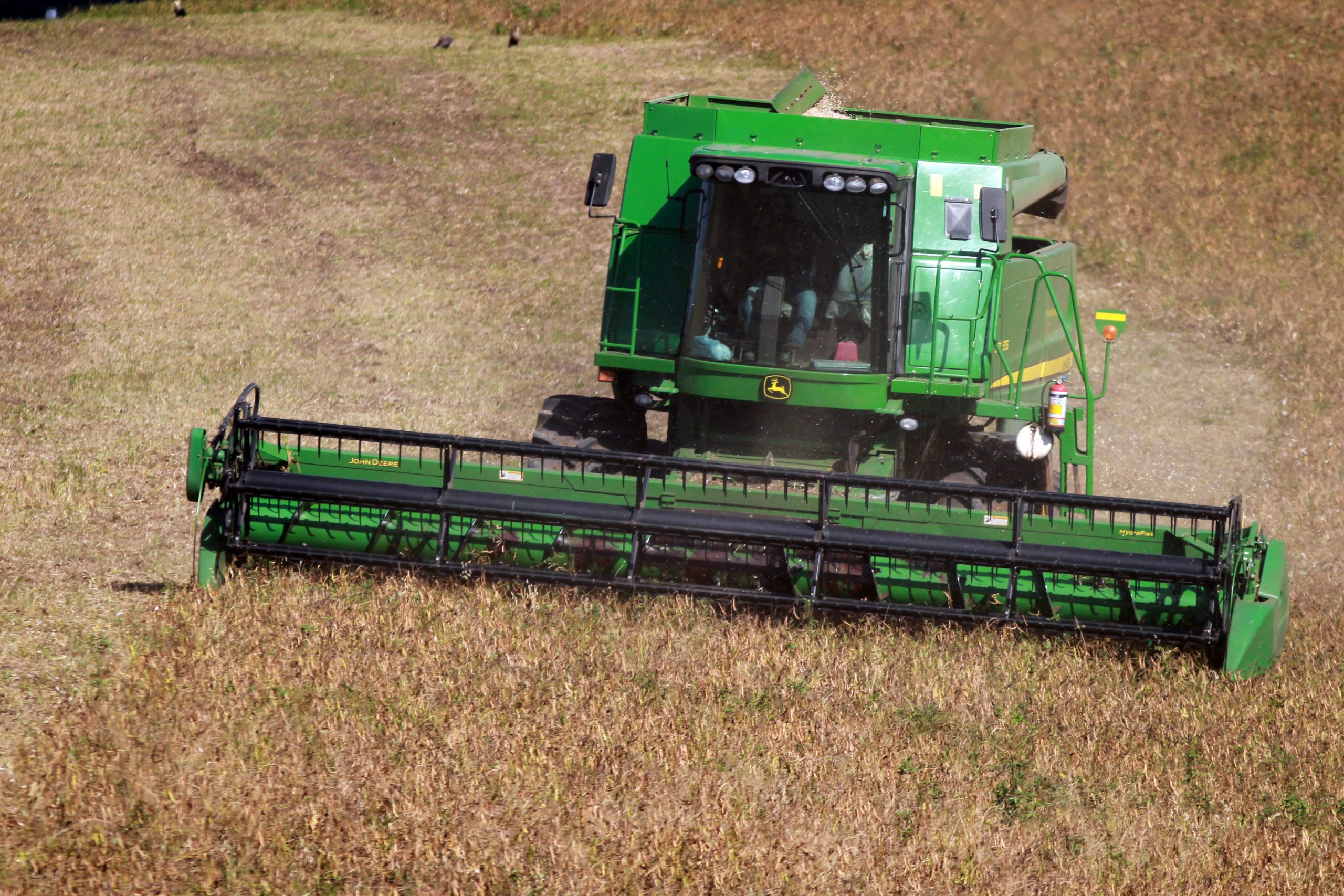 Responsável por um quarto da produção nacional, Paraná avança na colheita de feijão