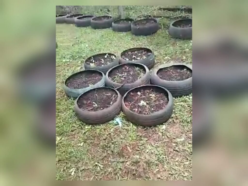 Escola municipal é alvo de vandalismo em São Mateus do Sul