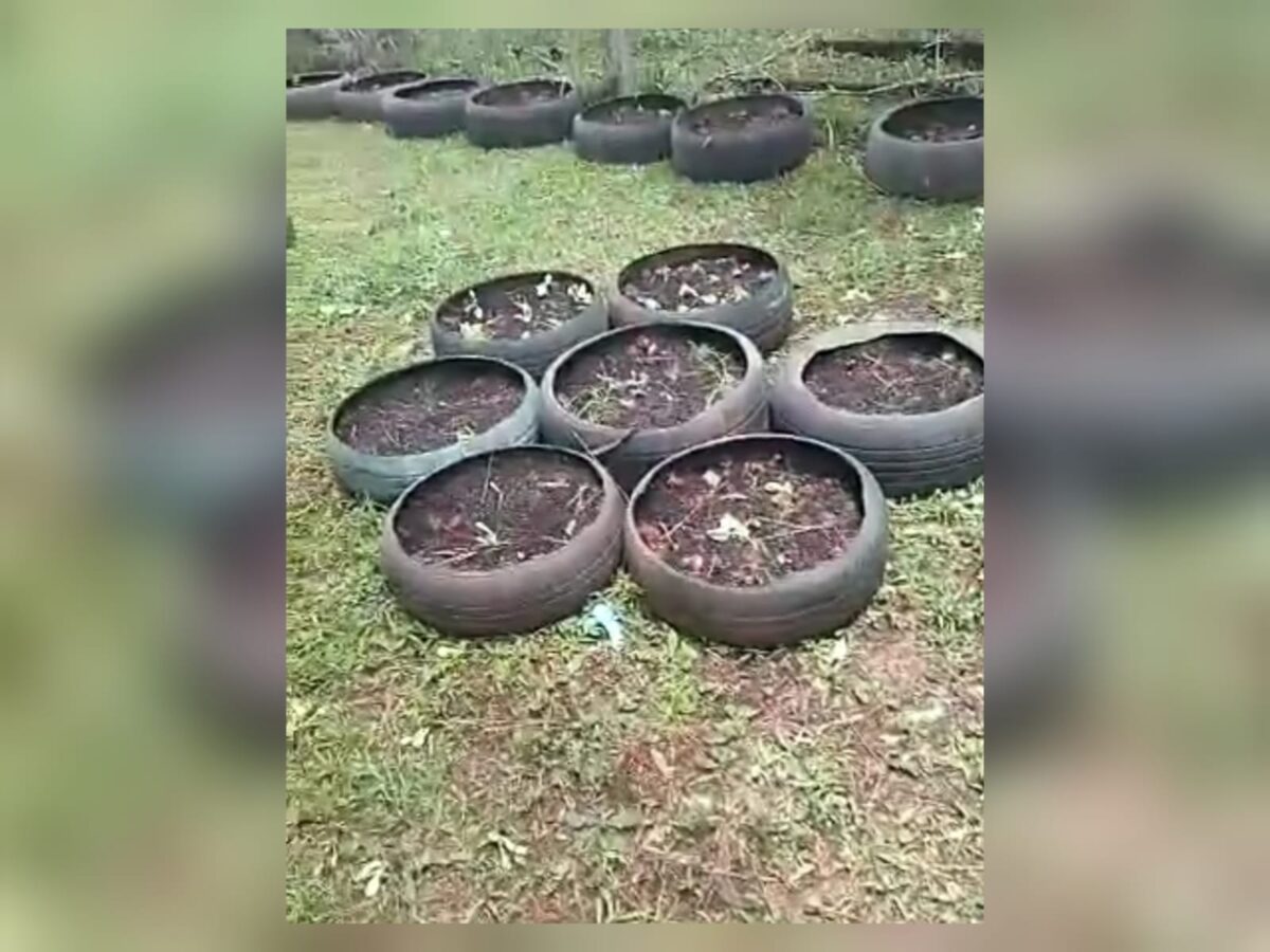 Escola municipal é alvo de vandalismo em São Mateus do Sul