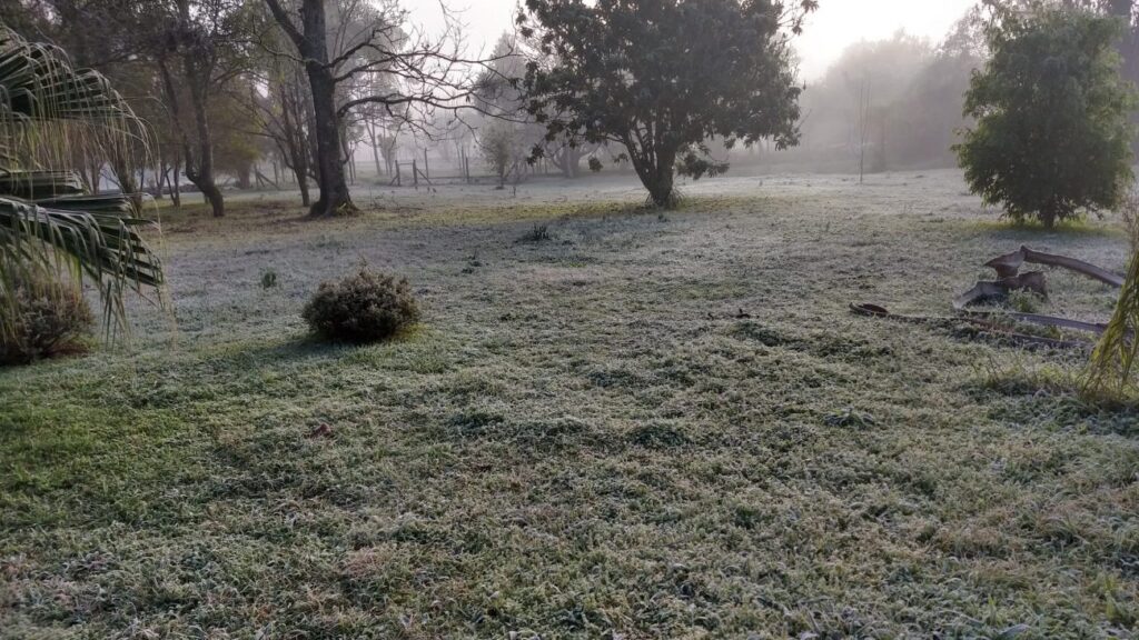 Frio intenso continua até segunda-feira (24), em São Mateus do Sul e região