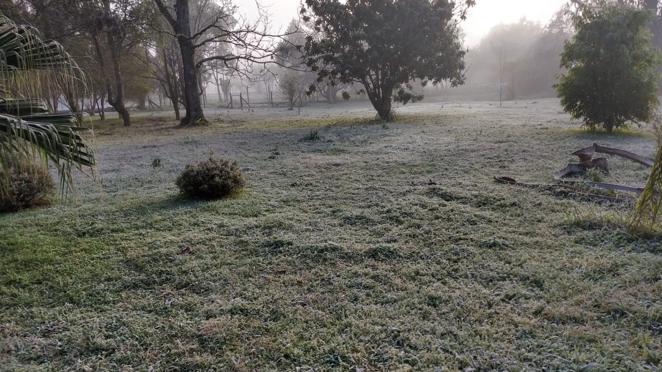 Frio intenso continua até segunda-feira (24), em São Mateus do Sul e região