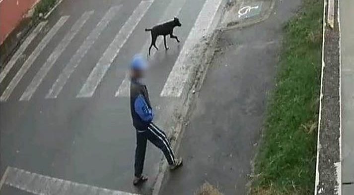 Polícia Civil procura homem flagrado abusando sexualmente de cachorro