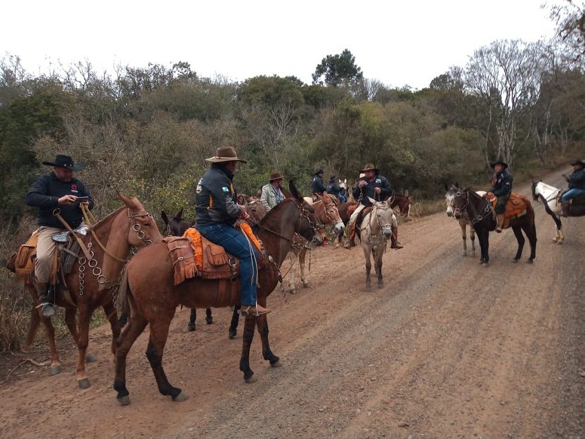 Tropeiros, desafio e fé: grupo revive uma tropeada entre Palmas e São Mateus do Sul