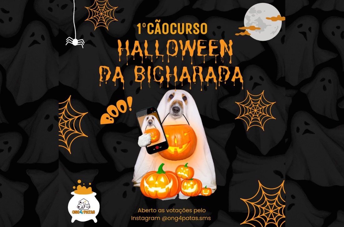 Aberta a votação do 1º CãoCurso Halloween da Bicharada: uma competição de fantasias assustadoramente adoráveis!