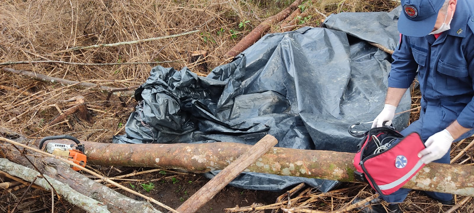 Homem morre atingido por tronco de árvore em Canoinhas; trabalhador fazia corte de madeira