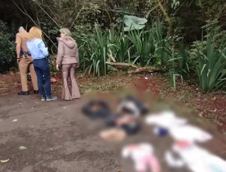 Morador encontra 15 animais decapitados em cidade Paranaense