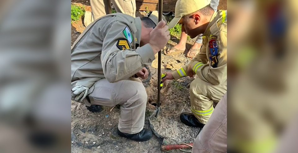 Heróis ao resgate: bombeiros salvam filhotes de cachorro presos em esgoto; veja o vídeo