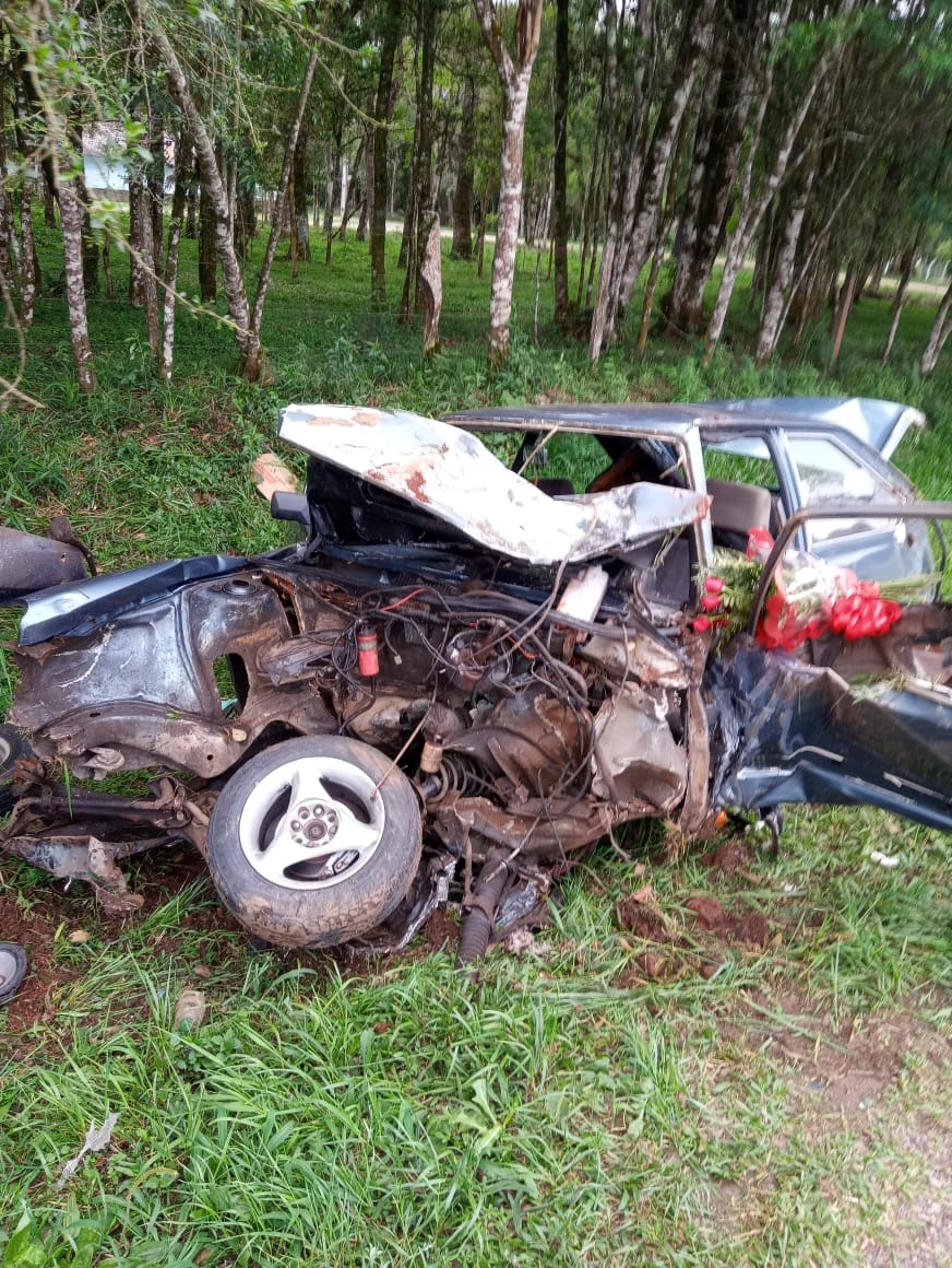 Veículo sai da pista e colide contra árvore na BR-280, em Irineópolis