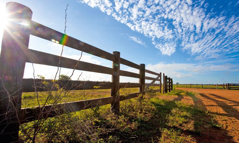 Animais e agrotóxicos são furtados de propriedade em São Mateus do Sul