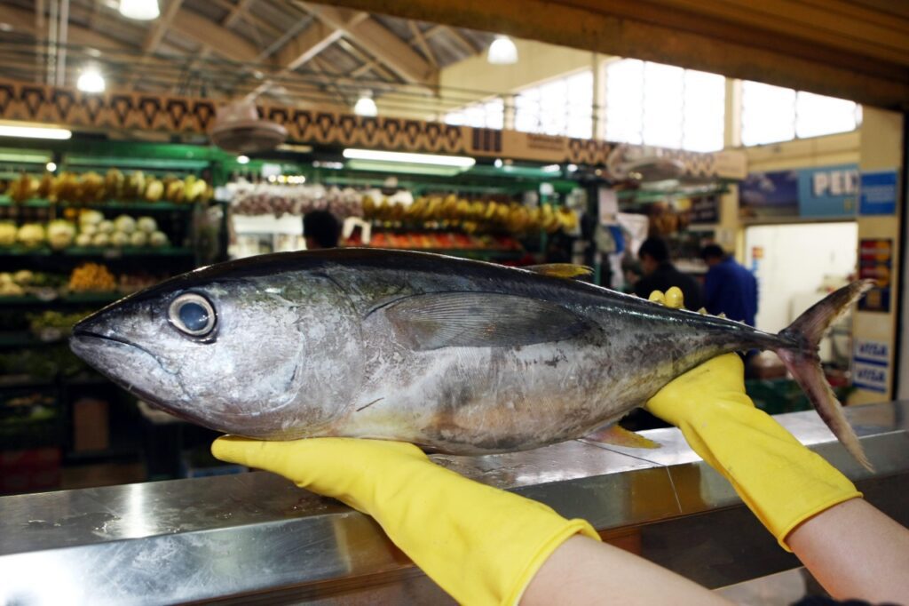 Vigilância Sanitária alerta sobre cuidados na compra de pescados para a Semana Santa￼