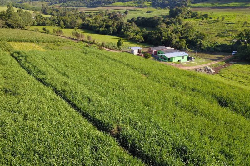 Agricultura inicia novos projetos voltados a pequenos produtores