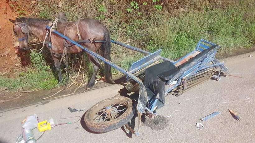 Criança de 10 anos morre em acidente entre moto e charrete em Minas Gerais