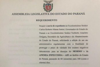 Governo Estadual atende pedido de Bacil e amplia a validade de exames periódicos em cavalos